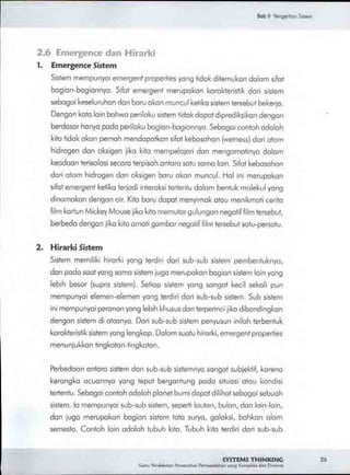 Buku systems thinking