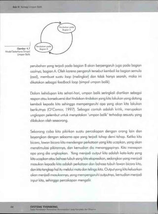 Buku systems thinking