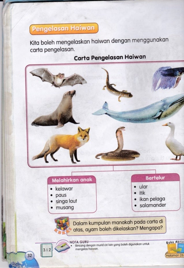 Buku Teks Kssr Tahun 3 Dunia Sains Dan Teknologi 1