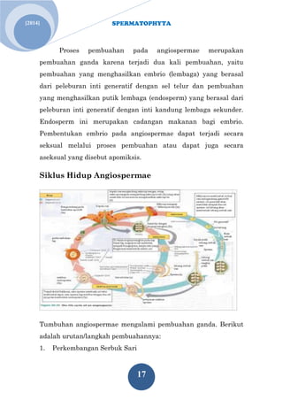 SPERMATOPHYTA 
17 
[2014] 
Proses pembuahan pada angiospermae merupakan pembuahan ganda karena terjadi dua kali pembuahan, yaitu pembuahan yang menghasilkan embrio (lembaga) yang berasal dari peleburan inti generatif dengan sel telur dan pembuahan yang menghasilkan putik lembaga (endosperm) yang berasal dari peleburan inti generatif dengan inti kandung lembaga sekunder. Endosperm ini merupakan cadangan makanan bagi embrio. Pembentukan embrio pada angiospermae dapat terjadi secara seksual melalui proses pembuahan atau dapat juga secara aseksual yang disebut apomiksis. Siklus Hidup Angiospermae 
Tumbuhan angiospermae mengalami pembuahan ganda. Berikut adalah urutan/langkah pembuahannya: 
1. Perkembangan Serbuk Sari  