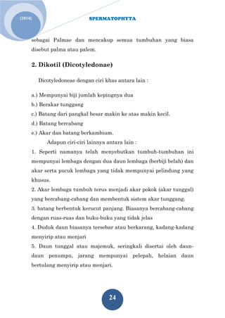 SPERMATOPHYTA 
24 
[2014] 
sebagai Palmae dan mencakup semua tumbuhan yang biasa disebut palma atau palem. 
2. Dikotil (Dicotyledonae) 
Dicotyledoneae dengan ciri khas antara lain : a.) Mempunyai biji jumlah kepingnya dua b.) Berakar tunggang c.) Batang dari pangkal besar makin ke atas makin kecil. d.) Batang bercabang e.) Akar dan batang berkambium. Adapun ciri-ciri lainnya antara lain : 1. Seperti namanya telah menyebutkan tumbuh-tumbuhan ini mempunyai lembaga dengan dua daun lembaga (berbiji belah) dan akar serta pucuk lembaga yang tidak mempunyai pelindung yang khusus. 2. Akar lembaga tumbuh terus menjadi akar pokok (akar tunggal) yang bercabang-cabang dan membentuk sistem akar tunggang. 3. batang berbentuk kerucut panjang. Biasanya bercabang-cabang dengan ruas-ruas dan buku-buku yang tidak jelas 4. Duduk daun biasanya tersebar atau berkarang, kadang-kadang menyirip atau menjari 5. Daun tunggal atau majemuk, seringkali disertai oleh daun- daun penumpu, jarang mempunyai pelepah, helaian daun bertulang menyirip atau menjari.  