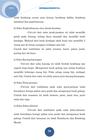 SPERMATOPHYTA 
26 
[2014] 
ialah kembang crysan atau krisan, kembang dahlia, kembang matahari dan papilionaceae. 
b) Suku Euphorbiaceae atau Jarak-Jarakan 
Ciri-ciri dari suku jarak-jarakan ini ialah memiliki getah pada batang, tulang daun menjadi dan memiliki buah kendaga. Maksud dari buah kendaga ialah buah nan memiliki 3 ruang nan di setiap ruangnya terdapat satu biji. Contoh dari tumbuhan ini ialah ceremai, karet, pohon jarak, puring dan ubi kayu. 
c) Suku Kacang-kacangan 
Ciri-ciri dari suku kacang ini ialah bentuk kembang nan seperti kupu-kupu. Mempunyai buah polong nan setiap buahnya memiliki beberapa ruang biji. Pada setiap ruang biji, terdapat satu biji. Contoh dari suku ini ialah semua jenis kacang-kacangan. 
d) Suku Petai-petaian 
Ciri-ciri dari tumbuhan pada suku petai-petaian ialah bentuknya berupa pohon atau perdu dan mempunyai buah polong. Contoh dari tanaman ini ialah lamtoro, petai, petai cina, putri malu dan saga. e) Suku Johar-joharan 
Ciri-ciri dari tumbuhan pada suku johar-joharan, ialah bentuknya berupa pohon atau perdu dan mempunyai buah polong. Contoh dari tanaman ini ialah Flamboyan dan Kembang Merak.  