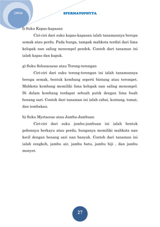 SPERMATOPHYTA 
27 
[2014] 
f) Suku Kapas-kapasan Ciri-ciri dari suku kapas-kapasan ialah tanamannya berupa semak atau perdu. Pada bunga, tampak mahkota terdiri dari lima kelopak nan saling menempel pendek. Contoh dari tanaman ini ialah kapas dan kapuk. 
g) Suku Solonacaeae atau Terong-terongan 
Ciri-ciri dari suku terong-terongan ini ialah tanamannya berupa semak, bentuk kembang seperti bintang atau terompet. Mahkota kembang memiliki lima kelopak nan saling menempel. Di dalam kembang terdapat sebuah putik dengan lima buah benang sari. Contoh dari tanaman ini ialah cabai, kentang, tomat, dan tembakau. 
h) Suku Myrtaceae atau Jambu-Jambuan 
Ciri-ciri dari suku jambu-jambuan ini ialah bentuk pohonnya berkayu atau perdu, bunganya memiliki mahkota nan kecil dengan benang sari nan banyak. Contoh dari tanaman ini ialah cengkeh, jambu air, jambu batu, jambu biji , dan jambu monyet.  