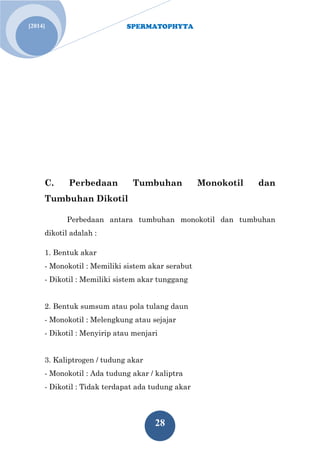 SPERMATOPHYTA 
28 
[2014] 
C. Perbedaan Tumbuhan Monokotil dan Tumbuhan Dikotil Perbedaan antara tumbuhan monokotil dan tumbuhan dikotil adalah : 1. Bentuk akar - Monokotil : Memiliki sistem akar serabut - Dikotil : Memiliki sistem akar tunggang 2. Bentuk sumsum atau pola tulang daun - Monokotil : Melengkung atau sejajar - Dikotil : Menyirip atau menjari 3. Kaliptrogen / tudung akar - Monokotil : Ada tudung akar / kaliptra - Dikotil : Tidak terdapat ada tudung akar  