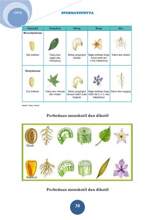 SPERMATOPHYTA 
30 
[2014] 
Perbedaan monokotil dan dikotil 
Perbedaan monokotil dan dikotil  