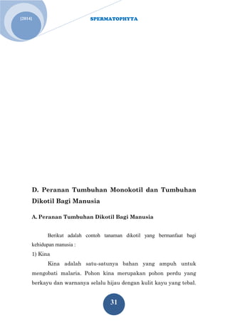 SPERMATOPHYTA 
31 
[2014] 
D. Peranan Tumbuhan Monokotil dan Tumbuhan Dikotil Bagi Manusia 
A. Peranan Tumbuhan Dikotil Bagi Manusia 
Berikut adalah contoh tanaman dikotil yang bermanfaat bagi kehidupan manusia : 
1) Kina 
Kina adalah satu-satunya bahan yang ampuh untuk mengobati malaria. Pohon kina merupakan pohon perdu yang berkayu dan warnanya selalu hijau dengan kulit kayu yang tebal.  