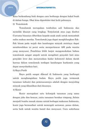 SPERMATOPHYTA 
32 
[2014] 
Kina berkembang biak dengan cara berbunga dengan bakal buah di dalam bunga. Obat kina diproduksi dari kulit pohonnya. 2) Temulawak Temulawak merupakan tumbuhan asli Indonesia dan memiliki khasiat yang lengkap. Temulawak atau juga disebut Curcuma biasanya diberikan kepada anak anak untuk menambah nafsu makan mereka. Temulawak juga dapat menghilangkan flek- flek hitam pada wajah dan kandungan minyak atsirinya dapat membersihkan isi perut serta memperlancar ASI pada wanita yang menyusui. Penelitian lebih lanjut mengemukakan bahwa temulawak sangat ampuh untuk mengobati penyakit hati atau penyakit liver dan menurunkan kadar kolesterol dalam darah karena dalam temulawak terdapat kandungan kurkumin yang dapat menyehatkan hati. 
3) Kayu Putih 
Kayu putih sangat dikenal di Indonesia yang berfungsi untuk menghangatkan badan. Kayu putih juga termasuk tanaman industri dan pemrosesannya adalah dengan menyuling minyak yang dihasilkan dari daunnya. 
4) Kunir 
Kunir merupakan satu kelompok tanaman yang sama dengan jahe dan kencur, yaitu tanaman berakar rimpang. Selain menjadi bumbu masak utama untuk berbagai makanan Indonesia, kunir juga bermanfaat untuk mencegah sariawan, panas dalam, serta baik untuk wanita hamil dan menyusui. Cara sederhana  