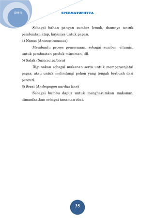 SPERMATOPHYTA 
35 
[2014] 
Sebagai bahan pangan sumber lemak, daunnya untuk pembuatan atap, kayunya untuk papan. 
4) Nanas (Ananas comosus) 
Membantu proses pencernaan, sebagai sumber vitamin, untuk pembuatan produk minuman, dll. 
5) Salak (Salacca zalacca) 
Digunakan sebagai makanan serta untuk mempersenjatai pagar, atau untuk melindungi pohon yang tengah berbuah dari pencuri. 
6) Serai (Andropogon nardus linn) 
Sebagai bumbu dapur untuk mengharumkan makanan, dimanfaatkan sebagai tanaman obat. 
 
