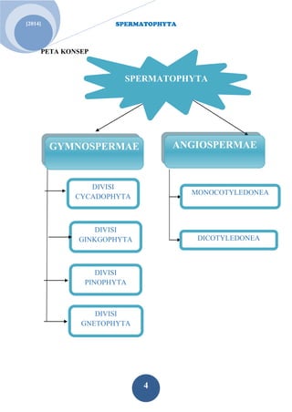 SPERMATOPHYTA 
4 
[2014] 
PETA KONSEP 
SPERMATOPHYTA 
GYMNOSPERMAE 
ANGIOSPERMAE 
DIVISI CYCADOPHYTA 
DIVISI GINKGOPHYTA 
DIVISI PINOPHYTA 
DIVISI GNETOPHYTA 
MONOCOTYLEDONEA 
DICOTYLEDONEA  
