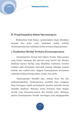 SPERMATOPHYTA 
7 
[2014] 
B. Pengelompokan dalam Spermatopyta Berdasarkan letak bijinya, spermatophyta dapat dibedakan menjadi dua kelas yaitu tumbuhan berbiji terbuka (Gymnospermae) dan tumbuhan berbiji tertutup (Angiospermae). 
1. Tumbuhan Berbiji Terbuka (Gymnospermae) 
Gymnospermae berasal dari bahasa Yunani. Kata gymnos yang berarti telanjang dan spermae yang berarti biji. Disebut demikian karena biji-biji yang dihasilkan tumbuhan tersebut terdapat pada permukaan sisik-sisik runjung sehingga, tampak terbuka dan terlihat jelas. Anggota Gymnospermae merupakan tumbuhan berkayu berupa pohon, semak, atau perdu. 
Gymnospermae memiliki akar, batang, daun, dan alat perkembangbiakan. Gymnospermae memiliki akar tunggang. Pada batangnya terjadi pertumbuhan menebal sekunder karena memiliki kambium. Daunnya selalu berwarna hijau dengan bentuk yang bermacam-macam dan bersifat kaku. Beberapa spesies Gymnospermae bersifat meranggas yang menggugurkan  