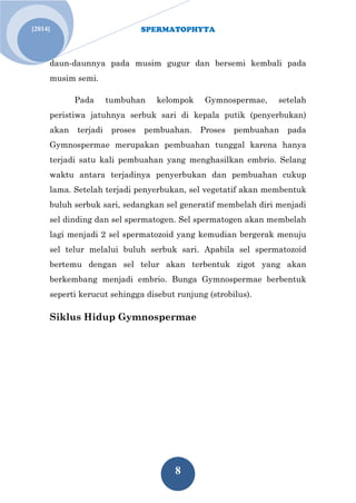 SPERMATOPHYTA 
8 
[2014] 
daun-daunnya pada musim gugur dan bersemi kembali pada musim semi. Pada tumbuhan kelompok Gymnospermae, setelah peristiwa jatuhnya serbuk sari di kepala putik (penyerbukan) akan terjadi proses pembuahan. Proses pembuahan pada Gymnospermae merupakan pembuahan tunggal karena hanya terjadi satu kali pembuahan yang menghasilkan embrio. Selang waktu antara terjadinya penyerbukan dan pembuahan cukup lama. Setelah terjadi penyerbukan, sel vegetatif akan membentuk buluh serbuk sari, sedangkan sel generatif membelah diri menjadi sel dinding dan sel spermatogen. Sel spermatogen akan membelah lagi menjadi 2 sel spermatozoid yang kemudian bergerak menuju sel telur melalui buluh serbuk sari. Apabila sel spermatozoid bertemu dengan sel telur akan terbentuk zigot yang akan berkembang menjadi embrio. Bunga Gymnospermae berbentuk seperti kerucut sehingga disebut runjung (strobilus). Siklus Hidup Gymnospermae  