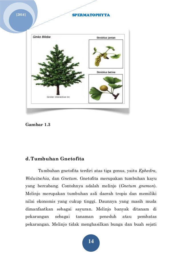 Buku Tumbuhan Berbiji