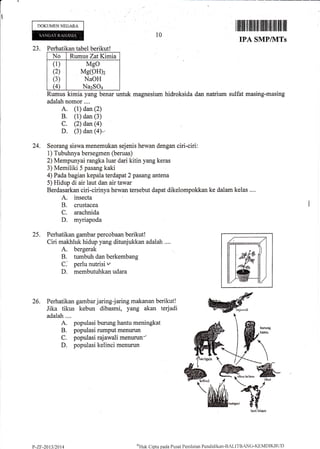 DOKLIMEN NEGARA
I lltilfltfllliltffifilllililll ilil tililil
IPA SMPfiVITS
23. Perhatikan tabel berikut!
No Rumus ZatKimia
(1)
(2)
(3)
@
Mgo
Me(9H)z
NaOH
NazSO+
Rumus kimia. yang benar untuk magnesium hidroksida dan natrium sulfat masing-masing
adalah nomor ....
A. (1) dan (2)
B. (1) dan (3)
C. (2) dan (a)
D. (3) dan (4)-
24. Seorang siswa menemukan sejenis hewan dengan ciri-ciri:
i) Tubuhnya bersegmen (beruas)
2) Mempunyai rangka luar dari kitin yang keras
3) Memiliki 5 pasang kaki
4) Pada bagian kepala terdapat2 pasang antena
5) Hidup di air laut dan air tawar
Berdasarkan ciri-cirinya hewan tersebut dapat dikelompokkan ke dalam kelas ....
A. insecta
B. crustacea
C. arachnida
D. myriapoda
Perhatikan gambar percobaan berikut!
Ciri makhluk hidup yang ditunjukkan adalah ....
A. bergerak
B. tumbuh dan berkembang
C. perlu nutrisi t'
D. membutuhkan udara
10
)
26
i,*.i1[il',nfffjtTf,-ri"?#r'ffi,0.;'[:1, @adalah....
A. populasi bunrng hantu meningkat
B. populasi rumput menurun
C. populasi rajawali menurun-
D. populasi kelinci menurun
ru
P-7-F-2013t2014
oHtrk
Cipla pada Pusat Penilaian Pendicliltrlr'BALITBANC-Klj]4DII(L]tJI)
 