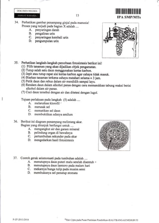 l-
DOKUMEN NEGARA
34. Perhatikan gambar penampang ginjal pada manusia!
Proses yang terjadi pada bagian X adalah ,...
A. penyaringan darah
B. pengaliran urin
C. penyaringan kembali urin
D. pengumpulan urin
l3
I iltiltililt ilillffi tffiilltil iltil til ltil
IPA SMP/NTTs
35,' Perhatikan langkah-langkah percobaan fotosintesis berikut ini!
(1) Pilih tanaman yang akan dijadikan objek pengamatan.
(2) Tutup salah satu daun menggunakan kertas karbon.
(3) Jepit atau tutup rapat sisi kertas karbon agar cahayatidak masuk.
(4) Biarkan tanaman terkena cahayamatahari selama + 3 jam.
(5) Petik daun dan rebus dalam air mendidih sampai layu.
(6) Rendam daun dalam alkohol panas dengan .uru *orusukkan tabung reaksi berisi
alkohol dalam air panas.
(7) Cuci daun tersebut dengan air dan ditetesi dengan lugol.
Tujuan perlakuur pada langkah (5) adalah ,...
A. melarutkan klorofil -
B. merusak sel
C. mematikan sel daun
D. membuktikan adanya amilum
36. Berikut ini diagram penampang melintang akar.
Bagian yang ditunjuk berfungsi untuk ....
A. mengangkut air dan garam mineral
B. pelindung organ di bawahnya
C. pertumbuhan sekunder pada akar
D. mengedarkan hasil fotosintesis
Contoh gerak seismonasti pada tumbuhan adalah.,,.
A. menutupnya daun puteri malu setelah disentuh
B. menutupnya daun lamtoro pada malam hari
C. mekarnya bunga tulip pada musim semi
D. membukanya sel penutup stomata
37.
P-Zt-2013i2014 onHtrk
Cipta paela Pusat Peni laian Pendicl i kan-BALITBANG-l(EMDI KBl,t D
 