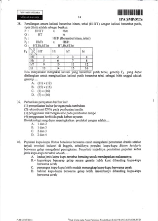38.
------_
Iiltiltiltil ilililflililllil1iltilililil
t4
Persilangan antara kelinci berambut hitam, tebal (HHTT)
tipii (hhtt) adalah sebagai berikut:
IPA SMP/]VITs
dengan kelinci berambut putih,
P: HHTT x hhtt
G: HT ht
Fr : HhTt (Berambut hitam, tebal)
PZi HhTt X HhTt
G : HT,Ht,hT,ht HT,Ht,hT,ht
Fz
Bila masyarakat menyukai kelinci yang berambut putih tebal, genotip F2 yang dapat
disilangkan untuk menghasilkarr kelinci putih berambut tebal sebagai bibit unggul adalah
genotip....
A. (11) x (12)
B. (1s) x (16)
C. (1) x (16)
D. (7) x (16)
Perhatikan pernyataan berikut ini !
(1) pemanfaatan kultur jaringan pada tumbuhan
(2) rekombinasi DNA pada pembuatan insulin
(3) penggunaan mikroorganisme pada pembuatan tempe
(4) penggunaan herbisida pada kebun sayuran
Bioteknologi yang dapat meningkatkan produksi pangan adalah....
A. l dan2
B. ldan3
C. 2 dan3
D. 2 dan4
Populasi kupu-kupu Biston betularia berwarna cerah mengalami penurunan drastis setelah
terjadi revolusi industri di Inggris, sebaliknya populasi kupu-kupu Biston betularia
berwarna gelap mengalami peningkatan. Penyebab terjadinya perubahan populasi kedua
jenis kupu-kupu tersebut adalah ....
A, kedua jenis kupu-kupu tersebut bersaing untuk mendapatkan makanannya
B.- kupu-kupu bersayap gelap secara genetis lebih kuat dibanding kupu-kupu
berwarna cerah
C. pemangsa kupu-lcupu lebih mudah menangkap kupu-kupu berwama eerah
D, habitat kupu-kupu berwarna gelap lebih tersembunyi dibauding kupu-kupu
berwarna eerah
lr39.
40.
x HT Ht hT ht
HT I 2 3 4
Ht 5 6 7 8
hT 9 10 11 t2
ht 13 t4 15 16
P-ZF-20t3t2014
()Hak
Clipta pacla Pusal Penilaian Pendiclikan-BALITBAN(i-KIIMDIKBI II)
 