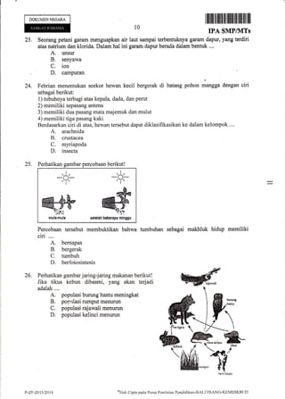 DOKUMENNEGARA
10
23. Seorang petani garam menguapkan air laut sampai terbentuknya garam dapur,
atas natrium dan klorida. Dalam hal ini garam dapur berada dalam bentuk ....
A. unsur
B. senyawa
C. ion
D. campuran
SMP/IVITs
yang terdiri
24. Febrian menemukan seekor hewan kecil bergerak di batang pohon rnurggu dengan ciri
sebagai berikut:
1) tubuhnya terbagi atas kepala, dada, dan perut
2) memiliki sepasang antena
3) memiliki dua pasang mata majemuk dan mulut
4) memiliki tiga pasang kaki
Berdasarkan ciri di atas, hewan tersebut dapat diklasifikasikan ke dalam kelompok .,..
A. arachnida
B. crustacea
C. myriapoda
D. insecta
IPA
sebagai makhluk hidup memiliki
25. Perhatikan gambar percobaan berikut!
26.
Percobaan tersebut membuktikan bahwa tumbuhan
ciri ,...
A. bernapas
B, bergerak
C. tumbuh
D. berfotosintesis
Perhatikan gambar j aring-j aring makanan berikut !
Jika tikus kebun dibasmi, yang akan terjadi
adalah....
A. populasi burung hantu meningkat
B. populasi rumput menurun
C. populasi rajawali menurun
D, populasi kelinci menurun
,+3
*&*
@P
eetelah beberapu,irnnn,
-:i:
W-, k
mula-mula
t,-zF-2013/20t4 ol-lak Clipta pada Pusat Pcnilnian Pentlidikan-tsALITIIANC-KEMDIKBL.IL)
 
