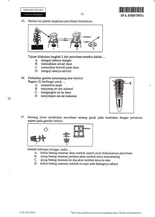 l
DOKUMEN NEGARA
13
ililililtlfl tilfl tffi lltffi 'iltililil til ilil
IPA SMP/1VITs
Tujuan dilakukan langkah 2 darl, percobaan tersebut adalah ,...
A. menguji adanya oksigen
B. melunakkan sel-sel daun
C. melarutkan klorofil pada daun
D. menguji adanya amilum
36. Perhatikan gambar penampang akar berikut!
Bagian (2) berfungsi untuk ..,.
A. menembus tanah
B. menyerap air dan mineral
C. mengangkut air ke daun
D. rnenyimpan zat-zatmakanan
35. Berikut ini adalah rangkaian percobaan fotosintesis.
ffi.n.r.
ffiEtWll
37, Seorang siswa melakukan percobaan tentang gerak pada turnbuhan dengan perlakuan
seperti pada gambar berikut.
Setelah beberapa minggu, maka....
A. kedua batang tanaman akan tumbuh seperti awal dilakukannya percobaan
B. ujung batang tanaman pertama akan tumbuh terus menyamping
C. ujung batang tanaman ke dua akan tumbuh terus ke atas
D. kedua batang tanaman tumbuh menuju arah datangnya cahaya
P-ZF-2013/20t4 'ol{iik C-'ipta pada Pusat Penilaitrn Peniliclikan-BALITBANC-KEMDII(Bt.lt)
 