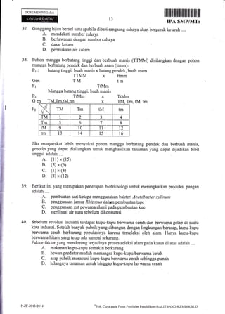 DOKUMENNEGARA
r ffi ilfirfltlilffiffiiilililIffi flilt ilil Iilt
IPA SNTPIVITs
37. Ganggang hijau bersel satu apabila diberi rangsang cahaya akan bergerak ke arah ....
A. mendekati sumber cahaya
B. berlawanan dengan sumber cahaya
C. dasar kolam
D. permukaan air kolam
38. Pohon mangga berbatang tinggi dan berbuah manis (TTMM) disilangkan dengan pohon
mangga berbatang pendek dan berbuah asam (ttmm):
Pr : batang tinggi, buah manis x batang pendek, buah asarn
TTMM x ttmm
13
Gen
Fr
P2
Gen
TM
TtMm
Mangga batang tinggi, buah manis
tm
TtMm x TtMm
m, tM, tm
Fz
Jika masyarakat lebih menyukai pohon mangga berbatang pendek dan berbuah manis,
genotip yang dapat disilangkan untuk menghasilkan tanaman yang dapat dijadikan bibit
unggul adalah....
A. (11) x (1s)
B. (s) x (6)
c. (1) x (8)
D. (8) x (12)
39. Berikut ini yang merupakan penerapan bioteknologi untuk meningkatkan produksi pangan
adalah .,..
A. pembuatan sari kelapa menggunakan bakteri Acetobacter xylinum
B. penggunaan jamur Rhizopus dalarn pembuatan tape
C. penggunaan zat pewarna alamipada pembuatan kue
D. sterilisasi air susu sebelum dikonsumsi
4A. Sebelum revolusi industri terdapat kupu-kupu berwarna cerah dan berwarna gelap di suatu
kota industri. Setelah banyak pabrik yang dibangun dengan lingkungan berasap, kupu-kupu
berwarna cerah berkurang populasinya karena terseleksi oleh alam. Hanya kupu-kupu
berwarna hitam yang tetap ada sampai sekarang.
Faktor-faktor yang mendorong terjadinya proses seleksi alam pada kasus di atas adalah ....
A. makanan kupu-kupu semakin berkurang
B. hewan predator mudah memangsa kupu-kupu berwamaberah
C. asap pabrik meracuni kupu-kupu berwarna cerah sehingga punah
D. hilangnya tanaman untuk hinggap kupu-kupu berwarna cerah
m,tM,tm x TM. T
x TM Tm tM tm
TM 1 2 J 4
Tm 5 6 7 8
tM 9 10 11 t2
tm t3 t4 15 t6
P-ZF-20t312014 oHtrk
Cipta pacla ['r-rsat Penilaian Pendi<]ikan-BALTTBANG-KEMDIKBUD
 
