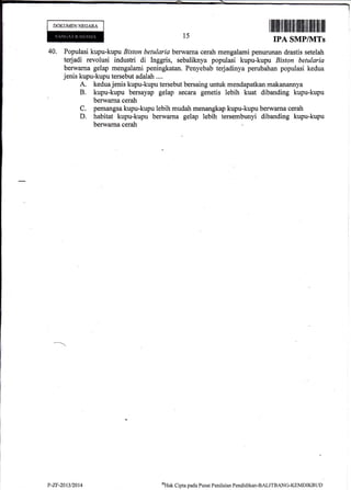 DOKUMENNEGARA
15
I lllilil{l l]ffi til flilffi flil Iilil fiil llll
IPA SMP/1VITs
40. Populasi kupu-kupu Biston betularia berwarna cerah mengalami penurunan drastis setelah
terjadi revolusi industri di Inggris, sebaliknya populasi kupu-kupu Biston betularia
berwarna gelap mengalami peningkatan. Penyebab terjadinya perubahan populasi kedua
jenis kupu-kupu tersebut adalah ....
A. kedua jenis kupu-kupu tersebut bersaing untuk mendapatkan makanannya
B. kupu-kupu bersayap gelap secara genetis lebih kuat dibanding kupu-kupu
' berwarna cerah
C. pemangsa kupu-kupu lebih mudah menangkap kupu-kupu berwarna cerah
D. habitat kupu-kupu berwarna gelap lebih tersembunyi dibanding kupu-kupu
berwarna cerah
?-zF-20t3/2014 oHal<
Cipta paCa Pur-at Penilaian Pendidikan-BALITBANG-KEMDIKBUD
 