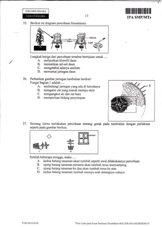 DOKUMENNECARA
I fffl lfiltililfi il] tfiililfltililll ilil lll
IPA SMPIUITs
35. Berikut ini diagram percobaan fotosintesis.
Langkah ketiga dari percobaan tersebut bertujuan untuk ....
/ f. il:H:lfffiIJi:"i1ffi"
C. mengetahui adanya amilum
D. mewarnai jaringan daun
36. Perhatikan garnbar jaringan tumbuhan berikut!
Fungsi bagian 1 adalah ....
A. melindungi jaringan yangadadi bawahnya
B. mengatur zatyangmasuk menuju stele
C. mengangkut air dan zathara
D. memperluas bidang penyerapan
37. Seorang siswa melakukan percobaan tentang gerak pada turnbuhan dengan perlakuan
seperti pada gambar berikut.
ffi.n,ru
#Eilwn
Setelah beberapa minggu, maka ....
A. kedua batang tanaman akan tumbuh seperti awal dilakukannya percobaan
B. ujung batang tanaman pertama akan tumbuh terus menyamping
C. ujung batang tanaman ke dua akan tumbuh terus ke atas
D. kedua batang tanaman tumbuh menuju arah datangnya cahaya
P-ZF-20t3/2014 t{ak Cipta pacla Pusat Penilairur Pondidikan-BALITBANG-KEMDIKBt.lt)
 