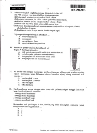 DOKUMENNEGARA
Ali secara tidak sengaja menyenggol pot berisi tanaman
sejajar permukaan tanah. Beberapa minggu kemudian
tumbuh ....
A. membengkok ke atas
B. membengkok ke bawah
C. lurus ke depan
D. tidak beraturan
Hasil persilangan antara mangga manis buah
besar (mmBb) diperoleh keturunan:
1. mangga manis buah besar
2. mangga manis buah kecil
3. mangga asam buah besar
4. mangga asam buah kecil
Berdasarkan hasi{ persilangan di atas, fenotip
menghasilkan bibit unggul adalah ....
A. 1
8.2 ,
c.3
D,4
lillililrilril
IPA
sehingga pot tersebut terguling
ujung batang tumbuhan akan
kecil (Mmbb) dengan mangga asam buah
yang dapat disilangkan sesamanya untuk
13
--T
flililrilil|ilililfiiltfl
SMPIVITs
35. Perhatikan langkah-langkah percobaan fotosintesis berikut ini!
(1) Pilih tanaman yang akan dijadikan objek pengamatan.
(2) Tutup salah satu daun menggunakan kertas kaibon.
(3) Jepit atau tutup rapat sisi kertas karbon agar cahaya tidak masuk.
(4) Biarkan tanaman terkena cahayamatahari selamar 3 jam,
(5) Petik daun dan rebus dalam air mendidih sampai layu.
' (6) Rendam daun dalam alkohol panas dengan caiu *"rrrasukkan tabung reaksi berisi
alkohol dalam air panas.
(7) Cuci daun tersebut dengan air dan ditetesi dengan lugol.
Tujuan perlakuan pada langkah (5) adalah ....
A. melarutkan klorofil
B. merusak sel
C. mem.dtikan sel daun
D. membuktikan adanya amilum
36. Perhatikan gambar struktur akar di bawah ini!
Bagian X berfungsi sebagai ....
A. titik tumbuh yang mudah melakukan pembelahan sel
B. pelindung akar pada saat menembus tanah
C. menyerap air dan mineral dari dalam tanah
D. mengangkut air dan mineral ke daun
37.
38.
P-ZF-2013/2014 oHirk
Cipta pada Pusat Pcnilaian Pendiclikrur.EtALITBANG-KEMI)IKBUD
 