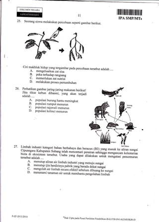 DOKUMEN NEGARA
I
25' seorang siswa melakukan percobaan seperti gambar berikut.
Ciri makhluk hidup yang tergambar pada percobaan tersebut adalah ....
A. mengeluarkan zat sisa
B. peka terhadap rangsang
C. memerlukan zat nutrisi
D. melakukan proses pertumbuhan
1l
27.
Wbcri hianr
masuk ke aliran sungai
mengancam kelestarian
mengatasi pencemaran
IPA SMP/]VITs
26
ir*il'ffiYjtilf.-#i"iffiuffi,r.;,fi1,
Madalah....
4. populasi burung hantu meningkat
B. populasi rumput menurun
C. populasi rajawali menurun
D. populasi kelinci menurun
Limbah industri kategori bahan berbahaya dan beracun (83) yang
fjnune-qara Kabupaten subang telah mencemari perairan sehingga
biota di ekosistem tersebut. i.tsaha yang aapat dilakukan untuktersebut adalah ....
I menutup aliran air limbah industri yang menuju sungai
I menutup ijin berdirinya pabrik yang UJraa, a.f.J u,rigui
c' mengotah air limbah r.*.u ereltirleber;;il*ff," ,urguiD, menanami tanaman air untuk membantu p.dol"il; iirrtur,
P-ZF-2013/2014 *Htrk
cipta pada pusal peniltritrn pendiclikan-BALITBANG-KEMDTKBtJD
 