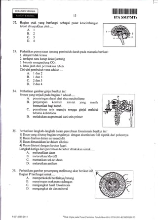 L_
t-
DOKUMEN NEGARA
32. Bagian otak yang berfungsi
tubuh ditunjukkan oleh ....
A. 1
8.2
c.3
D.4
t3
sebagai pusat keseimbangan
33. Perhatikan pernyataan tentang pembuluh darah pada manusia berikut!
1. denyut tiddk terasa
2.terdapat satu katup dekat jantung
3. banyak mengandung COz
4. letak jauh dari permukaan tubuh
Ciri-ciri pembuluh vena adalah ....
A. I dan}
B. 1dan3
C. 2 dan3
D. 2 dan4
ilffittil fiilll tililtillfltil tilil tililil
IPA SMP/1VITs
34. Perhatikan gambar ginjal berikut ini!
Proses yang terjadi pada bagian P adalah ....
A. penyaringan darah dari sisa metabolisme
B. penyerapan kembali zat-zat yang
C.
bermenfaat bagi tubuh
penyaluran urin menuju
tubulus kolektivus
melakukan augmentasi dari
rongga ginjal melalui
urin primer
masih
D.
35. Perhatikan langkah-langkah dalam percobaan fotosintesis berikut ini!
1) Daun yang ditutup bagian tengahnya dengan aluminium foil dipetik dari pohonnya
2) Daun direbus dalam air mendidih
3) Daun dimasukkan ke dalam alkohol
4) Daun ditetesi dengan larutan lugol
Langkah ketiga dari percobaan tersebut dilakukan untuk ....
A. melunakkan daun
B. melarutkan klorofil
C. mematikan sel-sel daun
D. melarutkan amilum
36. Perhatikan gambar pelumpang melintang akar berikut ini'!,
Bagian P berfungsi untuk ....
A. memperkokoh berdirinya.batang
B. menyimpan makanan cadang*
C. mengangkut hasil fotosintesis
D. mengangkut air dan mineral
P-ZF-2013/2014 aHak
Cipta pacla Pusat Penilaitrn Pendidikirn-BALITBANC-KEMDiKBLID
 