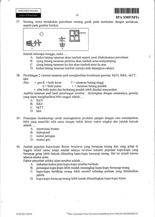 il
I
DOKUMENNEGARA
Itffiilffiillfllilffiillllilflflil]ilffit
IPA SMPIVITs
37. Seorang siswa melakukan percobaan tentang gerak pada tumbuhan dengan perlakuan
seperti pada gambar berikut.
-&*.qr4lql
MIt
Seteiah beberapa minggu, maka ....
A. kedua batang tanaman akan tumbuh seperti awal dilakukannya percobaan
B. ujung batang tanaman pertama akan tumbuh terus menyamping
C. ujung batang tanaman ke dua akan tumbuh terus ke atas
D. kedua batang tanaman tumbuh menuju arah datangnya cahaya
Persilangan 2 varietas tanaman padi menghasilkan kombinasi genotip: KkTt, KKtt, kkTT,
kktt.
Jika: . gen K: bulir keras T: tanaman batang tinggi
k: bulir pulen t : tanaman batang pendek
. sifat bulir pulen dan berbatang pendek lebih disukai masyarakat.
Apabila tanaman padi hasil persilangan tersebut disilangkan dengan sesamanya, genotip
yang dapat menghasilkan bibit unggul adalah ....
A. KKTt
B. KKtt
C. KKTT
D. kktt
Penerapan bioteknologi untuk meningkatkan produksi pangan dengan cara mendapatkan
bibit yang memiliki sifat sama dengan induk dalam waktu singkat dan jumlah banyak
adalah....
A. inseminasi buatan
B. hidroponik
C. kultur jaringan
D. mutasi gen
Jumlah populasi kupu-kupu Biston betularia yang bersayap terang dan yang gelap di
Inggris relatif sarna, tetapi setelah adanya revolusi industri populasi kupu-kupu yang
bersayap gelap lebih banyak dibanding kupu-kupu bersayap terang. Hal ini terjadi karena
adanyaseleksi alam.
Faktor penyebab seleksi alam tersebut adaiah ....
A. makanan kedua, jenis kupu-kupu tersebut berbeda
B. pemangsa kupu-kupu lebih mudah menangkap kupu-kupu bersayap terang
C. kupu-kupu bersSap terang lebih sensitif terhadap polutan yang ditimbulkan
pabrik
D. kupu-kupu bersayap terang lebih lemah dibandingkan kupu-kupu hitam
t4
38.
39.
40.
P-ZF-2013t20t4
oHnk
Cipta pacla I'Lrsat Penilaian Penditlikan-BALITBANG-KEMDIKBtID
 