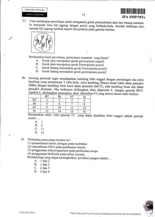 DOKUMENNEGARA
Berdasarkan
nomor....
A. 1
8.6
c. 11
D. 16
39. Perhatikan pernyataan berikut ini!
(1) pemanfaatan kultur jaringan pada tumbuhan
(2) rekombinasi DNA pada fembuatan insulin
(3) penggunaan mikroorganisme pada pembuatan tempe
(4) penggunaan herbisida pada kebun sayuran
Bioteknoiogi yang dapat meningkatkan produksi pangan adalah.,..
A. I dan2
B. l dan3
C. 2 dan3
D. 2 dan4
t3
37 ' Utari melakukan'percobaan untuk mengamati gerak pertumbuhan akar dan batang fanaman.
Ia menanam lima biji jagung dengan posisi yang^berbeda-beda. Setelah bebJrapa hari,
tampak biji jagung tumbuh seperti ditunjukkan pada gambar berikut.
fr&B
Berdasarkan hasil percobaan, pernyataan manakah yang benar?
A. Gerak akar merupakan gerak geotropisme ne[atif.
B. Gerak akar merupakan gerak fototropism" poritif.
C. Gerak batang merupakan gerak fototiopisme positif.
D. Gerak batang merupakan gerak geotropisme iositif.
Seorang peternak ingin mendapatkan kambing bibit unggul dengan persilangan dua jenis
!rybinc yang mempunyai 2 sifat beda, yaitu lambing
-dttu*u
bisartidak tihan penyakit
(BBtt) dengan kambing lokal kecil tahan penyakit (bbTT), sifat kambing besar dan tahan
38.
penyakit dominan. Jika keduanya disilangkan akan dipeioleh F1 dengln g";o;ip- ilil:
F2 yangtertera dalam tabel berikut:
Apabila F'1 disilangkan sesamanya" akan dihasil
BT Bt bT bt
BT I 2 J 4
Bt 5 6 7 8
bT 9 10 11 I2
bt 13 14 15 1,6
tabel, sifat genotip F2 yang dapat dijadikan bibit unggul adalah genotip
P-ZF-2013t20t4 ('H
iik cipta patia Pusat pcn i I aian pendicr i kan-BALITBAN G-K[]{DIKB L ,ID
 