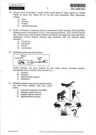 DOKUMEN NEGAR,A
23.
IPA SMPIIVITs
Seorang siswa memasukan I sendok makan garam dapur ke dalam segelas air. Setelah
diaduk air terasa asin. Dalam hal ini, zat asin yang dimasukkan dapat digolongkan
sebagai....
A. unsur
B. senyawa
C. molekul
D. campuran heterogen
Ketika Adi berjalan di pematang sawah, ia menemukan seekor binatang. Hasil identifikasi
binatang tersebut menunjukkan ciri-ciri: tubuh panjang berbentuk gilig, merniliki banyak
kaki, berbuku-buku, seluruh bagian tubuhnya terlindung oleh rangka luar yang relatif keras.
Berdasarkan ciri-ciri tersebut, binatang yang ditemukan oleh Adi termasuk dalam
kelompok....
A. Crustaceae
B. Myriapoda
C. Insecta
D. Arachnoidea
25. Perhatikan gambar percobaan berikutl
24.
Setelah beberapa saat eosin bergerak ke arah dalam
menunjukkan bahwa makhluk hidup memiliki ciri ....
A. bergerak
B. bemapas
C. p0ka terhadap rangsang
D" beradaptasi
tabung. Percobaan tersebut
26
i,?f'1',lffi'ffi'#jtTf,]#:'?#fTffi'THl, ffiadalah.... L
A. populasi burung hantu meningkat
B. populasi rumput menurun
C. populasi rajawali menurun
D. populasi kelinci menurun
P-ZF-2t13t7A14 (;'Hak
Cipta pac!a Pusar Penilainn Pendiclikan-BrLITBANG-KEMDII(BLrD
 