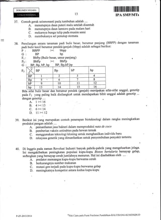 DOKUMEN NEGARA
13
I lllilll lilllill}trl|ffilllllllilllll llllllll
IPA SMP/lVtrTs
37. Contoh gerak seismonasti pada.tumbuhan adalah ....
A. menutupnya daun puteri malu setelah disentuh
B. menutupnya daun lamtoro pada malam hari
C. mekarnya bunga tulip pada musim semi
membukanYa sel Penutup stomata
38. Persilangan antara tanarnan padi bulir besar, berumur panjang (BBPP) dengan tanaman
padi butir kecil berumur pendek/genjah (bbpp) adalah sebagai berikut:
BbPp (Bulir besar, umur Panjang)
BbPp
dan berumur pendek (genjah) menipakan sifat-sifat unggul, genotiP
unggul adalah genotiP ...baik disilangkafl untuk mendapatkan bibit
39. Berikut ini yang merupakan contoh penerapan bioteknologi dalam rangka meningkatkan
produksi pangan adalah ....
A. pemanfaatan jasa bakteri dalam memproduksi nata de coco
B. pemberian vaksin antirabies pada hewan ternak
C. menggunakan teknologi kloning untuk menghasilkan individu baru
D. rekayasa genetik yang dimanfaatkan untuk penyembuhan penyakit tertentu
40. Di Inggris pada zamanRevolusi Industri banyak pabrik-pabrikyang,mengeluarkan:"fyu.
Ini niJngakibatkan peningkatan populasi kupu-ftupu Eitto, bertularia bersayap gelap,
sedangkan yang bersayap Cerah jumlahnya menuruR. Hal ini disebabkan oleh ....
A. predator memangsa kupu-kupu berwarna cerah
B. berkurangnYa sumber makanan
C. mutasi gen terjadi pada kupu-kupu berwarna gelap
D. meningkatnya kompetisi antara kedua kupu-kupu
P
G
Fr
Pz
G
Fz
BBPP
BP
Bila sifat bulir besar
pada F2 yang paling
dengan genotip ....
A. 1>< 16
B, 4>< 13 !
c. 6>< t4
D. ll ><.72
bp
bP, BP bPBP
I
d'
BP Bp bP bp
BP 1 2 J 4
Bp 5- 6 7 8
bP 9 10 11 t2
bp 13 14. 15 t6
Y-ZF-2013/2414
oHtrk Cipta pacla I'usat Peniltrian Pendklikan-BALITBANG'KEMDIKBIJD
 