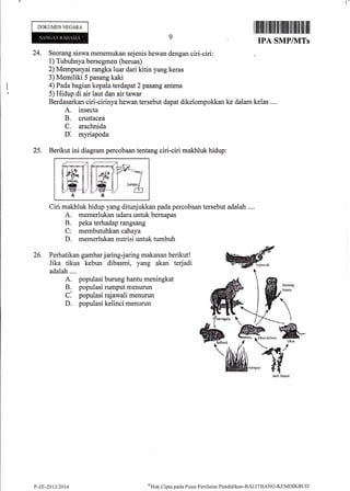 DOKUMEN NEGARA
ilililil fitflilil il|ililtfi tltllli]ilil itil
TPA SMPflVITs
kelas ....
24. Seorang siswa menemukan sejenis hewan dengan ciri-ciri:
1) Tubuhnya bersegmen (beruas)
2) Mempunyai rangka luar dari kitin yang keras
3) Memiliki 5 pasang kaki
4) Pada bagian kepala terdapat 2 pasang antena
5) Hidup di air laut dan air tawar
Berdasarkan ciri-cirinya hewan tersebut dapat dikelompokkan ke dalam
A. insecta
B. crustacea
C. arachnida
V. myriapoda
Berikut ini diagram percobaan tentang ciri-ciri makhluk hidup:25.
{-3m
ffffiilffiTFT:;nlw-il/ t1/w-t1/ NAB
26
i,*'llil-ffi#jffif;fi'?#rTr,oTfil, @adalah.... 
A. populasi burung hantu meningkat
B. populasi rumput menunrn
C: populasi rajawali menurun
D. populasi kelinci menurun
Ciri makhluk hidup yang ditunjukkan pada percobaan tersebut adalah .,.
A. memerlukan udara untuk bernapas
B. peka terhadap rangsang
C; membutuhkan cahaya
D. memerlukan nutrisi untuk turnbuh
P-ZF-201312014
o)Hak
C'ipta pada Pusat Penilaian Pendiclikan-BALITBANG-KEMDIKBIJt)
 