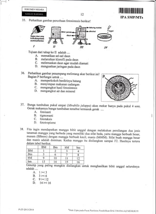 -_1tl'
DOKUMEN NEGARA
35. Perhatikan gambar percobaan fotosintesis berikut!
t2
I tlilflil til illilt ffi liltilt tfr iltil ilil ilil
IPA SMP/1VITs
ffi ffi**,.Bm$anda*n noo l#,f*i!i
THffiffi
rua**l g
|*Dsot
@
W$
Tujuan dari tahap ke II adalah ....
A. mematikan sel-sel daun
B. melarutkan klorofil pada daun
C, melemaskan daun agar mudah diamati
D, menguatkan jaringan pada daun
36. Perhatikan gambar penampang melintang akar berikut ini!
Bagian P berfungsi untuk ....
A. memperkokoh berdirinya batang
B. menyimpan makanan cadangan
C. mengangkut hasil fotosintesis
D. mengangkut air dan mineral
!*qu tumbuhan pukul empat (Mirabilis jalappa)
Gerak mekarnya bunga tumbuhan tersebut termasuk
A. fotonasti
B. tigmonasti
C. fototaksis
D. fototropisme
akan mekar hanya pada pukul 4 sore.
gerak ....
bibit unggul seluruhnya
37.
38' Fita ingin mendapatkal mangga bibit unggul dengan melakukan persilangan dua jenis
tanaman mangga yang berbeda yang memiliki dua sifat beda, yaitu mangga berbuah blsar,
masam (BBmm) dengan mangga berbuah kecil, manis (bbMM). Sifat b;;h mangga besar
dan manis adalah dominan. Kedua mangga itu disilangkan sampai F2. Hasilnya tertera
dalam tabel berikut.
Genotip yang paling
adalah....
A. 1><3
B. 3><6
c. 9><12
D. 14 >< L6
mungkin disilangkan untuk menghasilkan
BM Bm bM bm
BM I 2
a
3 +
Bm 5 6 7 8
bM 9 10 1t 12
bm 13 t4 t5 16
P-ZF-2ot3t?ttt4 ot{ak
cipta pada Pusar pcn i Iaiarr pcnclirl iknn-BAi .IT uANG-I(Il lvlD IKB tiI)
 
