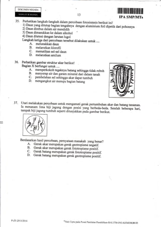 DOKUMENNEGAX.A
13
Iffiil$fltffiflffiilffi*il$ffit$uH
IPA SMPAV,ITS
35' Perhatikan.langkah-langkah dalam percbbaan fotosintesis berikut ini!
1)Pu* yang ditutup bagian tengahnya dengan aluminium foil dipetik dari pohonnya
2) Daun direbus dalam air mendidih
-
3) Daun dimasukkan ke dalam alkohol
4) Daun ditetesi dengan larutan lugol
Langkah ketiga dari percobaan teriebut dilakukan untuk ....
A. melunakkan:daun
B. melarutkan klorofil
C. mematikan sel-sel daun
D. melarutkan amilum
36. Perhatikan garnbar struktur akar berikut!
Bagian X berfungsi untuk ..,.
A, memperkokoh tegaknya batang sehingga tidak roboh
B. menyerap air dan garam mineral aari dilam tanah
C. pembelahan sel sehingga akar dapattumbuh
D. mengangkut air menuju bagian batang
37 ' Utari melakukan percobaan untuk mengamati gerak pertumbuhan akar dan batang tananran.
Ia menanam lima biji jagung dengariposisi-yang'berbeda-beda. Setelah beberapa hari,
tampak biji jagung tumbuh seperti ditunjukkan padi gambar berikut.
Berdasarkan hasil percobaan, pernyalaan manakah yang benar?
A. Gerak akar merupakan gerak geotropisme ne[atif.
B. Gerak akar merupakan gerak fotot opir-. po-.itif.
C. Gerak batang merupakan gerak fototropisme positif.
D. Gerak batang merupakan gerak geotropisme positif.
rdfi/.-'
P-ZF-20n/2014 *Hak
cipta pacra pLrsat pcnirtrian pe,eiicrikar-BALITBANC-KEMDIKBtJD
 