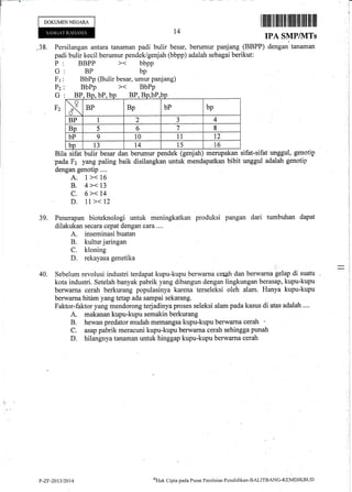 DOKUMENNEGARA
l4
I iltiltiltil uilt ffi tililt til ffi ililIlil
IPA SMPIVITS
.38. Persilangan antara tanaman padi bulir besar, berumur panjang (BBPP) dengarrtanaman
padi bulir kecil berumur pendek/genjah (bbpp) adalah sebagai'berikut:
BP bp
BbPp (Bulir besar, umur panjang)
Bila sifat bulir besar dan berumur pendek (genjah) merupakan sifat-sifat unggul, genotip
pada F2 yang paling baik disilangkan untuk mendapatkan bibit unggul adalah genotip
dengan genotip ....
A. 1><16
B. 4>< 13
c. 6>< 14
D. tl>< 12
39. Penerapan bioteknologi untuk meningkatkan produksi pangan dari tumbuhan dapat
dilakukan secara cepat dengan cara ....
A. inseminasi buatan
B. kultur jaringan
C. kloning
D. rekayasa genetika
4o,Sebe1umrevolusiindustriterdapatkupu-kupu.berwarnacerehdanberwarnagelapdisuatu
kota industri. Setelah banyak pabrik yang dibangun dengan lingkungan berasap, kupu-kupu
berwama cerah berkurang populasinya karena terseleksi oleh alam. Hanya kupu-kupu
berwarna hitarn yang tetap ada sampai sekarang.
Faktor-faktor yang mendorong terjadinya proses seleksi alampada kasus di atas adalah ....
A. makanan kupu-kupu semakin berkurang
B. hewan predator mudah mernangsa kupu-kupu berwarna cerah
C. asap pabrik meracuni kupu-kupu berwarna cerah sehingga punah
D. hilangnya tanaman untuk hinggap kupu-kupu berwama cerah
P
G
Fr
Pz
G
Fz
BP. Bo. bP. b BP P
x BP Bp bP bp
BP I 2 ) 4
Bp 5 6 7 8
bP 9 10 11 T2
bp 13 r4 15 t6
P-Zr-2013/2014
@Hak
Cipta pacla Pusat Penilnian Pendidikan-BALITBANG-KEMDIKBLJD
 