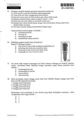 t-
DOKUMENNEGARA
Ali secara tidak sengaja menyenggol
sejajar permukaan tanah. Beberapa
tumbuh ....
A. membengkok ke atas
B. membengkok ke bawah
C. lurus ke depan
D. tidak beraturan
38. Hasil persilangan antara mangga manis buah
besar (mmBb) diperoleh keturunan:
1. mangga manis buah besar
2. manggamanis buah kecil
3. mangga asam buah besar
4. mangga asam buah kecil
Berdasarkan hasi{ persilangan di atas, fenotip
menghasilkan bibit unggul adalah ....
A. 1
8.2
c.3
D.4
yang dapat disilangkan sesamanya untuk
13
I
35. Perhatikan langkah-langkah percobaan fotosintesis berikut ini!
(1) Pilih tanaman yang akan dijadikan objek pengamatan.
(2) Tutup salah satu daun menggunakan kertas karbon.
(3) Jepit atau tutup rapat sisi kertas karbon agar cahaya tidak masuk.
(4) Biarkan tanaman terkena cahaya matahari selama * 3 jam.
(5) Petik daun dan rebus dalam air mendidih sampai layu.
' (6) Rendam daun dalam alkohol panas dengan cara memasukkan tabung reaksi berisi
alkohol dalam air panas.
(7) Cuci daun tersebut dengan air dan ditetesi dengan lugol.
Tujuan perlakuan pada langkah (5) adalah ....
A. melarutkan klorofil
B. merusak sel
C. mematikan sel daun
D. membuktikan adanya amilum
36. Perhatikan gambar struktur akar di bawah ini!
Bagian X berfungsi sebagai ....
A. titik tumbuh yang mudah melakukan pembelahan sel
B. pelindung akar pada saat menembus tanah
C. menyerap air dan mineral dari dalam tanah
D. mengangkut air dan mineral ke daun
37.
I tililtiltil ffiilil tilililil tilil til ffi
IPA SMP/]VITs
pot berisi tanaman sehingga pot tersebut terguling
minggu kemudian ujung batang tumbuhan akan
kecit (Mmbb) dengan mangga asam buah
P-ZF-2011/2014
*Hak Cipta pacla Pusat Penilainn Pendidikiur-BALITBANG-KEMDIKBI'Jl)
 