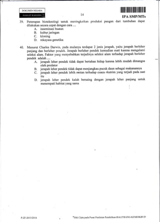 DOKUMENNECARA
t4
I ilrillil lil llililil lffi lll ilil llfl lffi llil
panjang untuk
I
i
39. Penerapan bioteknologi untuk meningkatkan produksi pangan dari
dilakukan secara cepat dengan cara ....
A. inseminasi buatan
B. kultur jaringan
C. kloning
D. rekayasa genetika
IPA SMP/]VITs
tumbuhan dapat
40. Menurut Charles Darwin, pada mulanya terdapat 2 jenis jerapah, yaitu jerapah berleher
panjang dan berleher pendek. Jerapah berleher pendek kemudian mati karena mengalami
ietetsi alam. Faktor yang menyebabkan terjadinya seleksi alam terhadap jerapah berleher
pendek adalah....
A. jerapah leher pendek tidak dapat bertahan hidup karena lebih mudah dimangsa
oleh predator
jerapah leher pendek tidak dapat menjangkau pucuk daun sebagai makanannya
jerapah leher pendek lebih rentan terhadap cuaca ekstrim yang terjadi pada saat
itu
B.
C.
D. jerapah leher pendek kalah bersaing dengan jerapah leher
menempati habitat yang sama
P-Zr-201312a14
ot-tnk
Cipta pacla Pusat Penilaitm Pendklikan-BALITBANG-KEMDIKBUI)
 