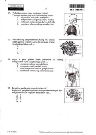 t--
DOKUMENNEGARA
l1
I rilillilffi fliltu tiltflflffi iltil til flil
TPA SMPIVTTs
30.
29. Perhatikan gambar organ pernapasan berikut!
Proses pemapasan yang terjadi pada organ y adalah ....
A. penyesuaian suhu udara pernapasan
B. menyalurkan udara pernapasan ke bronkus
C. pertukaran oksigen dengan karbon dioksida
D. pengaturan jalan masuknya udara ke trakea
Struktur tulang yang membentuk tulang betis tampak
seperti gambar berikut! Saluran Havers pada stnrktur
tersebut ditunjukkan oleh ...,
A. I
B.2
c.3
D.4
Organ P pada gambar sistem pencemaan di
menghasilkan enzim yang berfungsi untuk ....
'A. , mengubah maltosa menjadi glukosa
B. mengubah protein menjadi pepton
C. menceflra protein susu dari gumpalan susu
D. membunuh bakteri yang terbawa makanan
31. sampmg
32. Perhatikan gambar otak manusia berikut ini!
Bagian otak yang berfungsi untuk mengatur keseimbangan dan
mengkoordinasikan kerja otot ditunjukkan oleh ....
A. 1
B.2
c.3
D.4
1
2'
3
4
P-ZF-20t3t20t4 o)I{ak
Cipta pacla Pusat Pcnilaian Pendicliktur-BALITBANC-KEI4DIKBUI)
 