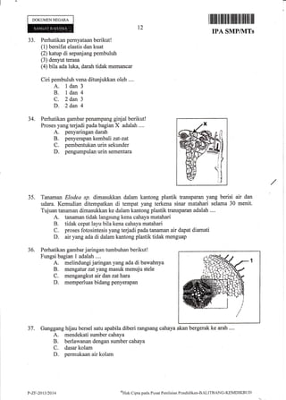 DOKUMENNEGARA
33. Perhatikan pernyataan berikut!
(1) bersifat elastis dan kuat
(2) katup di sepanjang pembuluh
(3) denyut terasa
(a) bila ada luka, darah tidak memancar
Ciri pembuluh vena ditunjukkan oleh ....
A. ldan 3
B. ldan 4
C. 2dan 3
D. ,2 dan 4
34. Perhatikan gambar penampang ginjal berikut!
Proses yang terjadi pada bagian X adalah ....
A. penyaringan darah
B. penyerapan kembali zat-zat
C. pembentukan urin sekunder
D. pengumpulan urin sementara
36. Perhatikan gambar jaringan tumbuhan berikut!
Fungsi bagian 1 adalah ....
A. melindungi jaringan yangada di bawahnya
B. mengatur zatyang masuk menuju stele
C. mengangkut air dan zathara
D. memperluas bidang penyerapan
12
r ililil] fl ililffi illilllil1llil1lilllil
IPA SMPIVITS
35. Tanaman Elodea,q,p. dimasukkan dalam kantong plastik transparan yang berisi air dan
udara. Kemudian ditempatkan di tempat yang terkena sinar matahari selama 30 menit.
Tujuan tanaman dimasukkan ke dalam kantong plastik transparan adalah ....
A. tanaman tidak langsung kena cahayamatahari
B. tidak cepat layu bila kena cahayamatahari
C. proses fotosintesis yang terjadi pada tanaman air dapat diamati
D. air yang ada di dalam kantong plastik tidak menguap
37. Ganggang hijau bersel satu apabila diberi rangsang cahaya akan bergerak ke arah ....
A. mendekati sumber cahaya
B. berlawanan dengan sumber cahaya
C. dasar kolam
D. permukaan air kolam
P-ZF-2013/2014
()Hak
Cipta pacla Pusat Pcniltriirn Pcndklikan-BuLITBTNG-KEMDIKBLJT)
 