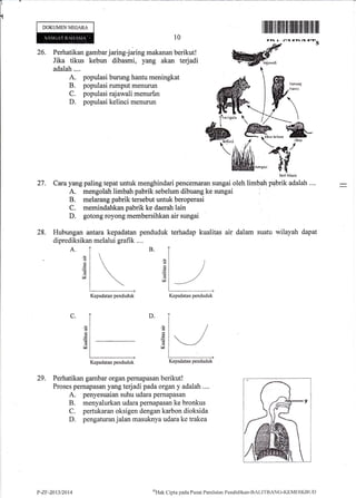 I
{
DOKUMENNEGARA
26. Perhatikan gambarjaring-jaring makanan berikut!
Jika tikus kebun dibasmi, yang akan terjadi
adalah....
A. populasi burung hantu meningkat
B. populasi rumput menurun
C. populasi rajawali menurtrn
D. populasi kelinci menurun
10
I ffi illil til ltilt il lililll]ill llllillll lllt
(rr rn r[ rrns
huruog
h;rntrr
27. Cara yang paling tepat untuk menghindari pencemaran sungai oleh limbah r-Jii.Tf"lah ....
A. mengolah limbah pabrik sebelum dibuang ke sungai ;
B. melarang pabrik tersebut untuk beroperasi
C. memindahkan pabrik ke daerah lain
D. gotong royong membersihkan air sungai
28. Hubungan antarakepadatan penduduk terhadap kualitas air dalam suatu wilayah dapat
diprediksikan melalui grafik ...,
A.
Perhatikan gambar organ pemapasan berikut!
Proses pernapasan yang terjadi pada organ y adalah ...,
A. penyesuaian suhu udara pernapasan
B. menyalurkan udara pernapasan ke bronkus
C. pertukaran oksigen dengan karbon dioksida
D. pengaturan jalan masuknya udara ke trakea
(€
cd
M
d
d
a
v
6i
rd
(d
v
D.C.
6
ad
M
29.
Kepadatan penduduk Kepadatan penduduk
Kepadatan penduduk
/
,//
Kepadatan penduduk
P-ZF-2013t20t4 $Hrrk
Cipta pada Pirsat Peniltrian Pendidiktrn-tsALll"llANG-KXN4DIKB L.lt)
 