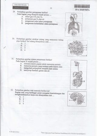 DOKUMENNEGARA
11
r fltflfliill fiilfi fiuflfltf lIfl {ff lfit ilfl
IPA SMP/IVITs
l
I
I
.ri
?1
*lrl
-l
29. Perhatikan gambar pernapasan berikutl
Pada bagian yang ditunjuk terjadi proses .,,.
A. difusi gas COz dan Oz
B. pelepasan gas,O2 dan air
9. pengaturan suhu udara peruapasan
D. pengaturan kelembaban udara pernapasan
31. Perhatikan gambar sistem pencernaan berikut!
Pada bagian X terjadi proses ..,.
A. memacu enzirnpepsin untuk lnencerna protein
B. mencerna protein yang terdaprt puOu UILin ruru
C. mengubah polipeptidimenjadi ;r.* ;;;;D. menyerap kembali garamdan air
30' Perhatikan gambar struktur tulang yang menyusun tulang
pipa berikut! Sel tulang ditunjukkan oleh ....
A. I
8.2
c.3
D.4
32. Perhatikan gambar otak manusia berikut ini!
Bagian otak yang berfi,rngsi untuk meagatw keseimbangan dan
mengkoordinasikan kerja otot ditunjukfin olrh .,.,
-"-"
A. .r
8.2
c.3
D.4
P-ZF-20t3/2ilt4 or-lali
cipra purrr pusat peniraian pendicrir<an-BALir-[JAr.r-.G-r(ti].rDir(BUr)
 