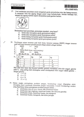 DOKUMENNEGAM
Bila sifat bulir besar
pada F2 yang paling
dengan genotip ....
A. l><16
B. 4><13
c. 6>< 14
D. t't >< tz
$al bgJumur penaek@
baik disilangkan untuk mendapatkan bibit
ltiltilililt
IPA
13
38.
37 ' utari melakukan percobaan untuk mengamati.gerak pertumbuhan akar dan batang tanaman.
Ia menanam lima biji jagung dengan posisi-yang'berbeda-beda. seteiah beberapa hari,tampak biji jagung tumbuh seperti ditunjukkan padl eambar berikut.
Berdasarkan hasil percobaan, pernyataan manakah yang be,ar?
A. Gerak akar merupakan gerak geotropism. n.[uiif.
B. Gerak akar merupakan gerak fototropism. poiitii:
C. Gerak batang merupakan gerak fototiopisme positif.
D. Gerak batang merupakan gerak geotropism. po"itir.
Persilangan antara tanaman padi burir besar, berumur panjang (BBpp)
padi bulir kecil berumur pendik/genjah (bbppj adalah,"Uugui berikut:
G: BP bp
I, , PbPp
(Bulir besar, umur panjang)
G :' BP. Bo. bP. bn RP Il,. h'
F2
39' Dalam rangka
.peningkatan produksi pangan, bioteknolc',gi sangat ciihprapkan rintukditerapkan derni memenuhi klbutuhan p*;;'r""r],arakat. contof, bioteknologi modernyang diperl*T dalam peningkatan produl<si--purrgu, udulah ....
A. pembuatan nata de ceco, oneom, dan i,semi,asi buatan
B. pembuatan tape singkong, inseminasi buatan, dan rekayasa genetika
C, pembuatan tempe, inseminasi buatan, dan transgenik
D. inseminasi buatan, transgenik, dan kultur jarinpnn
fi/.v".
illiltffitilrilililtililililil
SMPI[VITs
dengan tanaman
sifat-sifat unggul, genotip
unggul adalah genotip ...
bP BP bP
U
+
d'
BP Bp bP bp
BP I 2 J 4
Bp 5 6. 7 8
bP 9 t0 1t t2
bp 13 t4 t5 t6
l,-zF-2013/2014 olFlak
clipta parla frustrt penil*ian pentiidil<tr.,BALtrtJAN(]-KITMDII(L]UD
 
