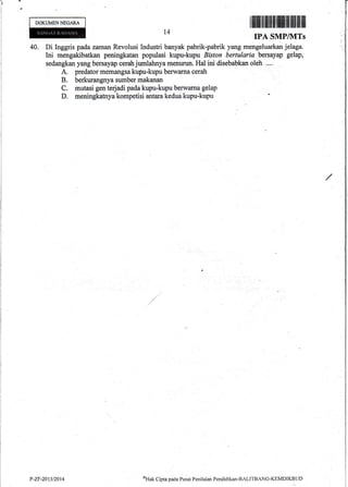 Jr '
DOKUMENNECARA
IPA SMP/]VITs
40. Di Inggris pada.z-aman Revolusi Industri banyak pabrik-pabrik yang mengeluarkan jelaga.
Ini mengakibatkan peningkatan populasi kupu-kupu Biston bertularia bersayap gelap,
sedangkan yang bersayap cerah jurnlahnya menurun. Hal ini disebabkan oleh ....'
A. predator memangsa kupu-kupu berwarna cerah
B. berkurangnya sumber makanan
C. mutasi genterjadi pada kupu-kupu berwarna gelap
D. meningkatnya kompetisi antara kedua kupu-kupu
eHak Clipta pada Pusat Penilairrn Pendidikan-BALITBiNG-KEMDIKBLJD
L4
P-ZF-2013/2014
 