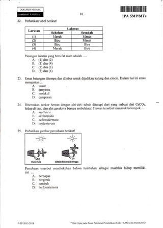 t,
-
DOKUMENNEGARA
I 1ililIililfl tilt{tillllillllllfl ll llil lll
IPA SMP/1VITs
22. Perhatikan tabel berikut!
Larutan
Lakmus
Sebelum Sesudah
(1) Merah Merah
Q Biru Merah
(3) Biru Biru
(4) Merah Biru
Pasangan larutan yang bersifat asam adalah ....
A. (1) dan (2)
B. (1) dan (a)
C. (2) dan (3)
D, (3) dan (a)
Emas batangan ditempa dan dilebur untuk dijadikan kalung dan cincin. Dalam hal ini emas
merupakan...
A. unsur
B. senyawa
C. molekul
D. campuran
Ditemukan seekor hewan dengan ciri-ciri: tubuh ditutupi duri yang terbuat dari CaCO:,
hidup di laut, dan alat geraknya berupa ambulakral. Hewan tersebut termasuk kelompok ....
A. mollusca
B. arthropoda
C. echinodermata
D. coelenterata
10
23.
24.
25. Perhatikan gambar percobaan berikut!
Percobaan tersebut membuktikan bahwa tumbuhan sebagai makhluk hidup memiliki
ciri....
A. bemapas
B, bergerak
C. tumbuh
D. berfotosintesis
_*,_
,"f
@beberapa mlnggu
-$;
P-ZF-21t3t2014
u'Hak
Cipta pacla I'usat Pcniltritur Pcndiclikan-BALI'IBzNG-KEMDIKB{.JD
 