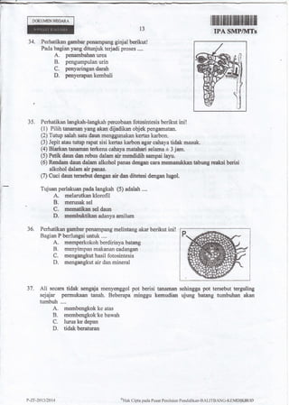 DOKUI{ENN|EGARA
34. Perhatikan ga{aba,r p€Bampang ginjal boriklrt!
Fada bagian yang ditunjuk terjadi proses ....
A. penambalaan urea
B. pengumpulan urin
C. pnyaringandarah
D. penyerapan kembali
35. Perhatikan langkah-laugkah percobaan fotosintesis berikut inil
(1) Pilih tamsman yang akan dijadikan objok pengematan.
(2) Tutup satrah satu dauar menggunakan kertas karbon.
(3) Jepit atau tutrry rapat sisi kertas kar,bon egar cahaya tidak masuk.
(a) B arl<ran tanarflan terkena cahaya neatalauri selama * 3 jana.
(5) Petik daundan rcbus dalam air nrendidih sampai layu.
(6) Rffdem daun dalam alkohol panas deagan oara rireniasukkan tebuag ro-aksi berisi
alkohol dalam air panas.
(7) Cuci daun tersebutdengan air dalr ditetosi dengan ltegol.
Tujuan perlaku.an pada langkah (5) adalah ....
A. rnelarutkan klorofil
B. rnerrrsak sel
C. mermatil<an sel daun
D. aeeurbuktihnedanya arnilurn
36, Perhatikan ganrban penampang melintang akar berikut ini!
Bagian P berfungsi untuk ....
A. rnernperkokoh berdirinya batang
B. menyirnpan rnakanan cadangan
C. mengangkut hasil fotosintesis
D. naengalrgkut air dan mineral
lllltil[fl$ffiilwffiffi$u
IPA ShilP/MTs13
37. Ali secara tidak sengaja menyenggol pot berisi tanarnan sehingga pot tersebut te guling
sejajar permukaan tanah. Beberapa minggu kemudian ujung batang tumbuhun *kan
tumbuh ....
A. membengkok ke atas
B. merabengkok'ke bawah
C. lurus ke depan
D. tidak beraturan
(T{ak
Clipta pacla Pusat Peniltriirn Pentliclikal-BALITBANC-K}lMDlKB{.ll)P-ZF-20t3t2014
 