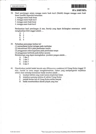 .|-_
DOKUMEN NEOARA
t4
buah kecil (Mmbb) dengan
I iltHtilltffiltfl ililt}Iilt ffi Iffi llltt
IPA SMPIIVITS
mangga asam buah38. Hasil persilangan antara mangga manis
besar (mmBb) diperoleh keturunan:
1. mangga manis buah besar
2. manggamanis buah kecil
3. mangga asam buah besar
4. mangga asarn buah keeil
Berdasarkan hasil persilangan di atas, fenotip yang
menghasilkan bibit unggul adalah ....
A. 1
8.2
c.3
D.4
dapat disilangkan sesarnanya untuk
39. Perhatikan pernyataan berikut ini!
(1) pemanfaatan kultur jaringan pada tumbuhan
(2) rekombinasi DNA pada pernbuatan insulin
(3) penggunaan mikroorganisme pada pernbuatan tempe
(4) penggunaan herbisida pada kebun sayuran
Bioteknologi yang dapat meningkatkan produksi pangan adalah...,
A. I danT
B. 1dan3
C. 2 dan3
D. 2 dan4
40. Diperkirakan jumlah badak bercula satu (Rhinoceros sondaicus) di Ujung Kulon tinggal 35
ekor. Jumlah ini tentu sangat mengkhawatirkan. Faktor yang mempengaruhi terjadinya
seleksi alam terhadap kelestarian badak tersebut adalah ....
A. keadaan habitat yang rusak karena eksploitasi hutan
B. terjadinya gunung meletus di sekitar Ujung Kulon
C. jumlah hewan lain di Ujung Kulon terlalu banyak
D. badak mernbutuhkan daerah jelajah yang luas
P-Zv'-20131?014
oHtrk Cipta pada Pusat Penilnian Pendiclikan-BALITBANG-KEMDIKBTJD
 