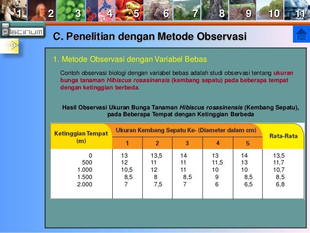 Buku x bab 1 (Hakikat Biologi sebagai Ilmu)