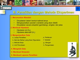 1 2 3 4 5 6 7 8 9 10 11 
B. Penelitian dengan Metode Eksperimen 
1. Merumuskan Masalah 
• Dinyatakan dalam bentuk kalimat tanya 
• Mengisyaratkan peubah (variabel) yang akan diteliti 
• Dinyatakan secara eksplisit (gamblang), singkat, dan jelas 
2. Membuat Hipotesis 
• Hipotesis nol (H0) 
• Hipotesis alternatif (H1) 
3. Mengumpulkan Data 
a. Lokasi Penelitian 
b. Alat dan Bahan yang Akan Digunakan 
c. Metode Kerja 
d. Unit Percobaan 
e. Perlakuan 
f. Variabel 
g. Ulangan 
h. Pengamatan 
4. Mengolah Data 
5. Membuat Simpulan 
6. Membuat Laporan Penelitian 
 