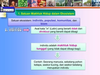 Contoh Individu Buku x bab 10 (Ekosistem) | PDF