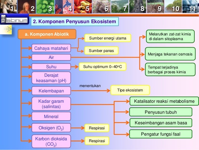 buku x bab 10 ekosistem buku x bab 10 ekosistem